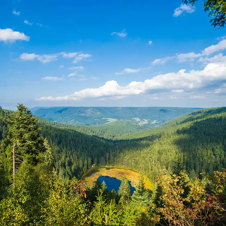 Blick auf den Schwarzwald mit bewaldeten Hügeln und einem kleinen See bei Offenburg